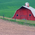 Peaking Out Over The Palouse.